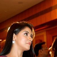 Asin Thottumkal - Untitled Gallery | Picture 21285